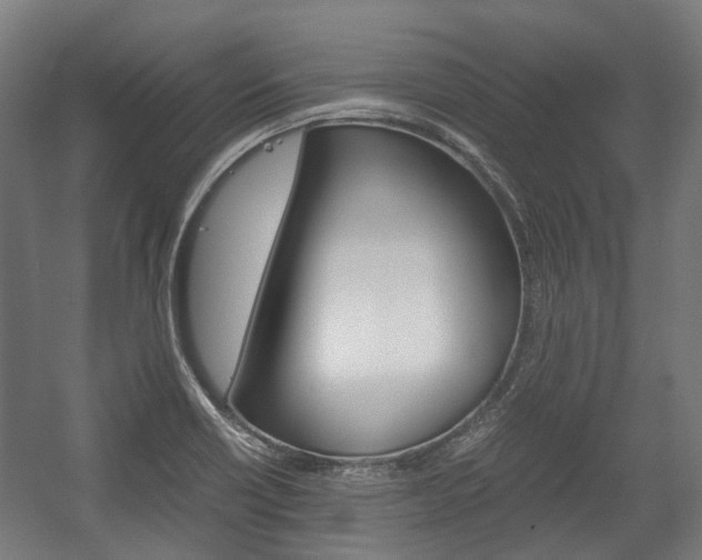 X0000058101418200509230742