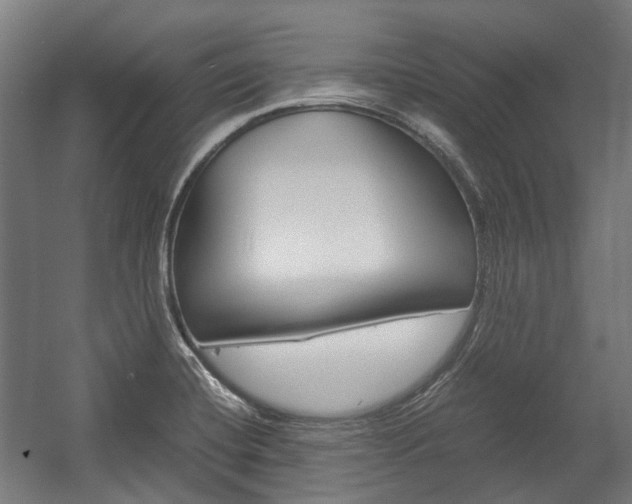 X0000058101420200509230742