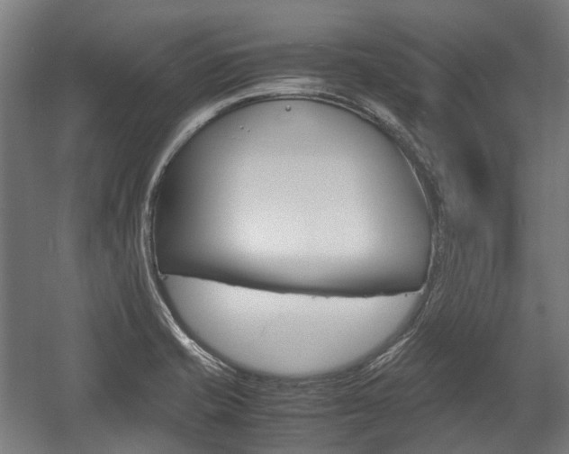 X0000058101421200509230742