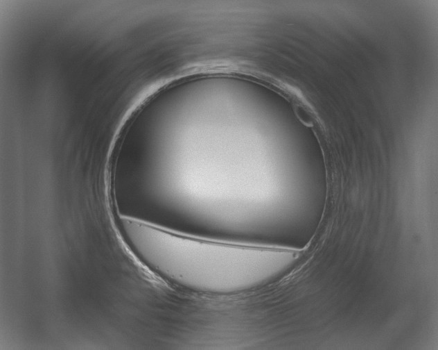 X0000058101424200509230742