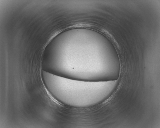 X0000058101425200509230742
