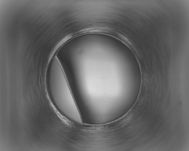 X0000058101426200509230742
