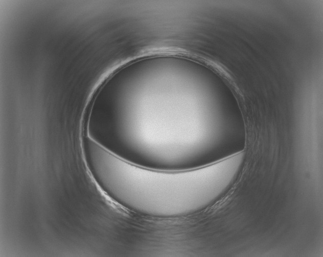 X0000058101430200509230742