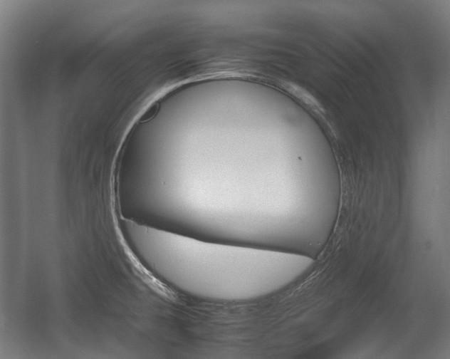X0000058101431200509230742