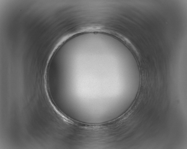 X0000058101432200509230742