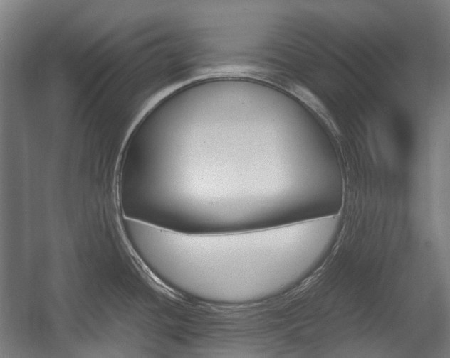 X0000058101436200509230742