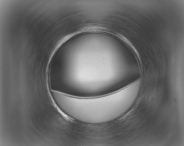 X0000058101437200509230742