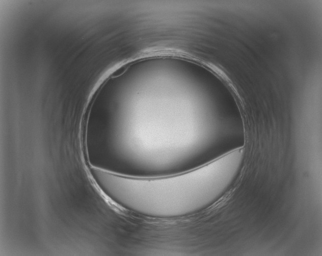 X0000058101438200509230742