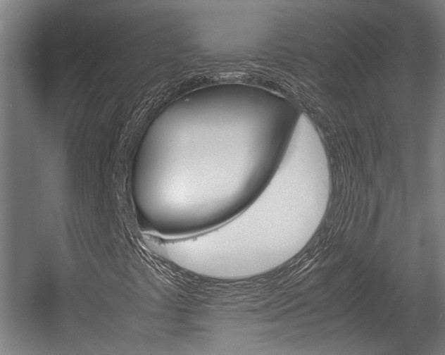 X0000058101441200509230742