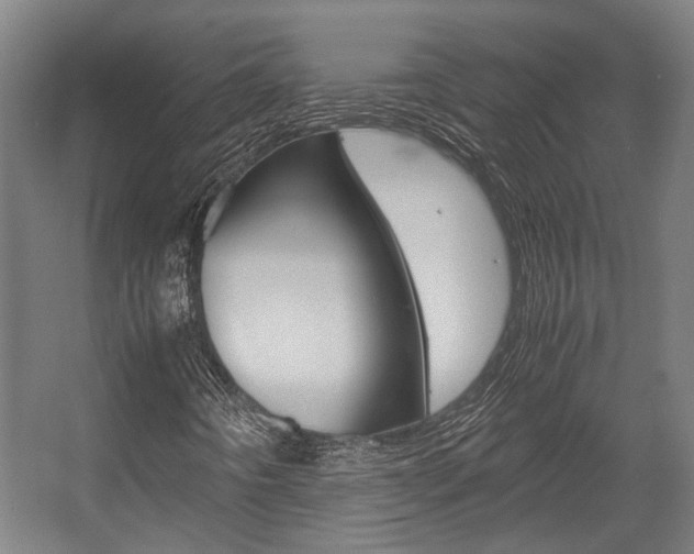 X0000058101442200509230742