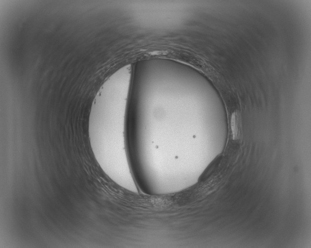 X0000058101443200509230742