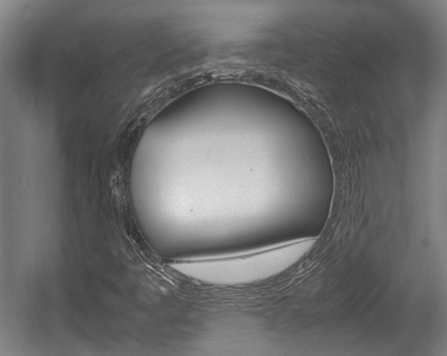 X0000058101445200509230742