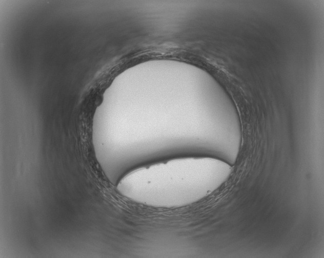X0000058101447200509230741