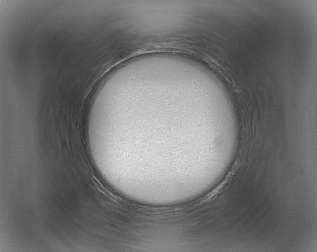 X0000058101449200509230741