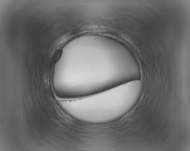 X0000058101451200509230741