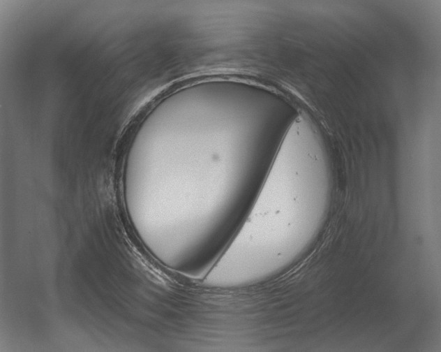 X0000058101452200509230741