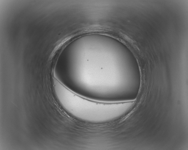 X0000058101453200509230741
