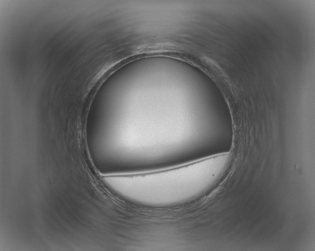 X0000058101457200509230741
