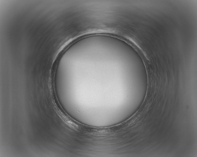 X0000058101460200509230741
