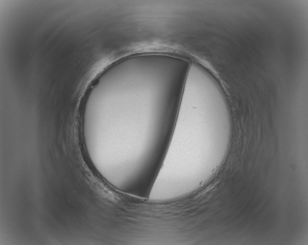 X0000058101463200509230741