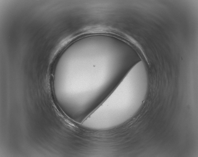 X0000058101464200509230741