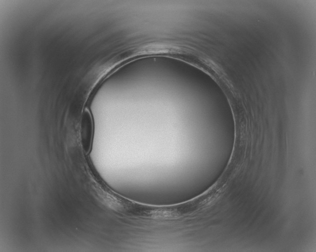 X0000058101465200509230741
