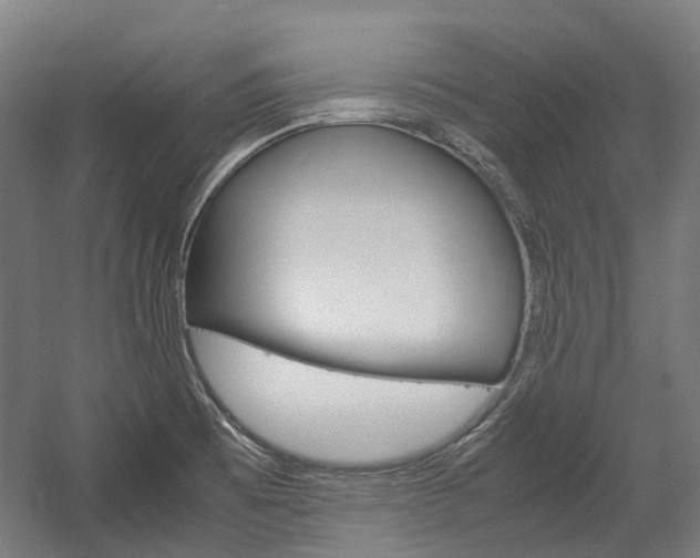 X0000058101473200509230741