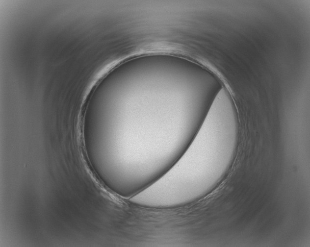 X0000058101477200509230741