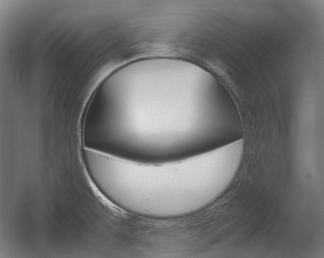 X0000058101479200509230741