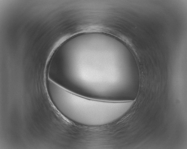 X0000058101480200509230741