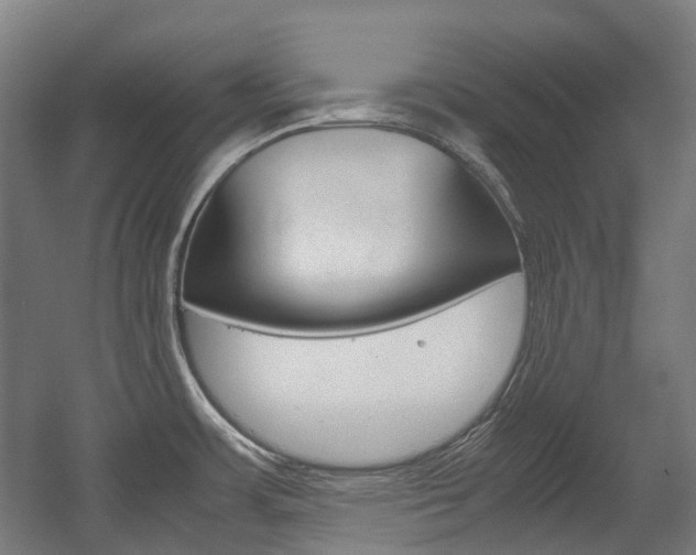 X0000058101483200509230741