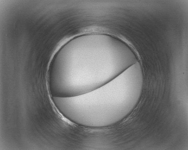 X0000058101486200509230741