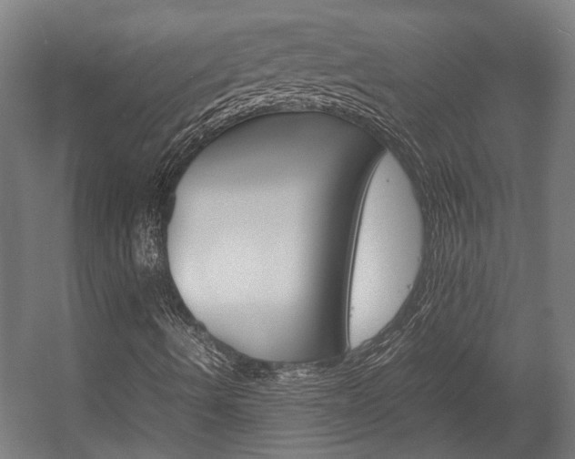 X0000058101490200509230740