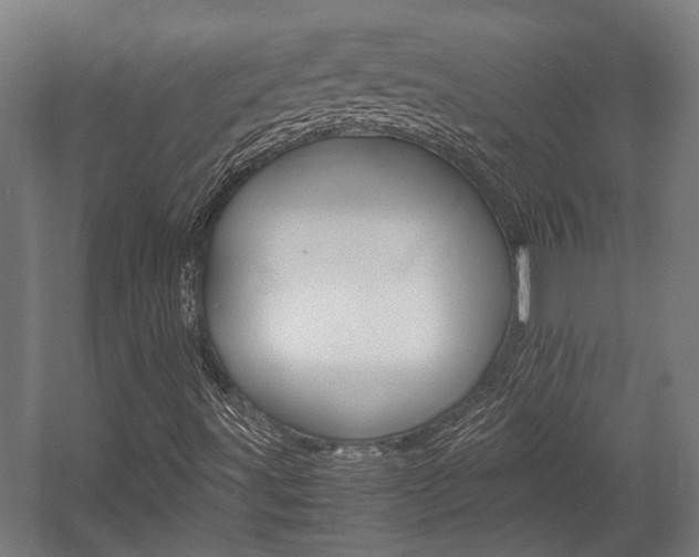 X0000058101491200509230740