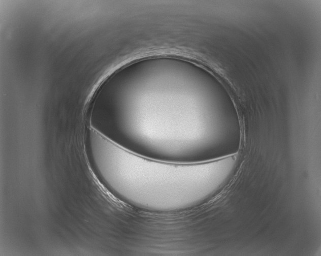 X0000058101500200509230740