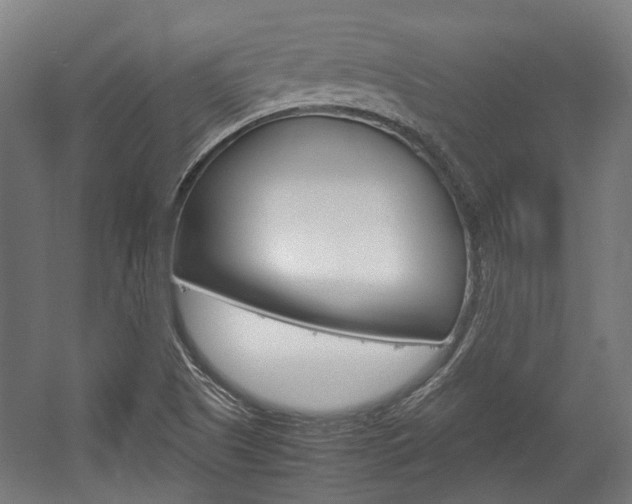 X0000058101505200509230740