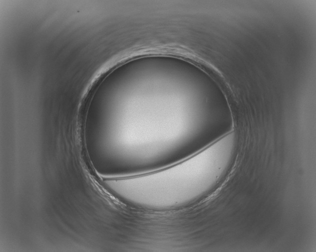 X0000058101506200509230740