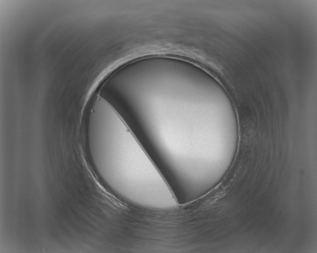 X0000058101509200509230740