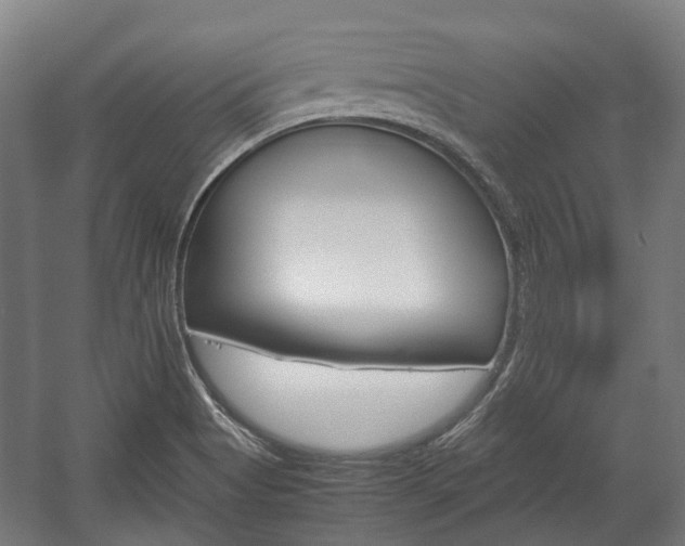 X0000058101513200509230740