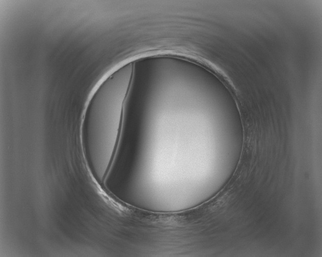 X0000058101516200509230740