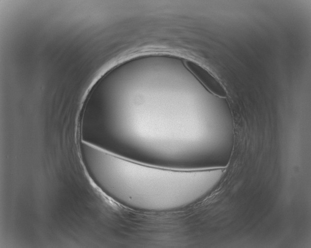 X0000058101527200509230741