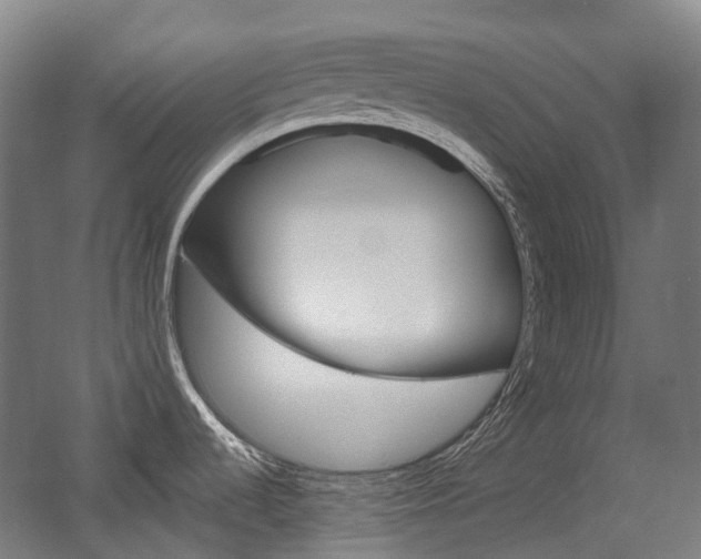 X0000058101536200509230741