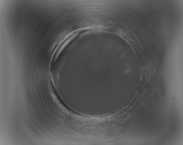 X0000058100002200509231012