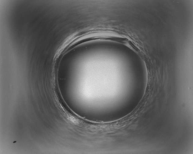 X0000058100005200509231012