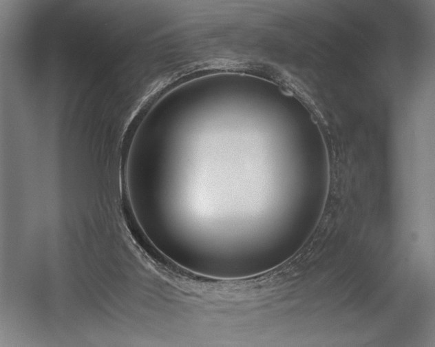 X0000058100011200509231012