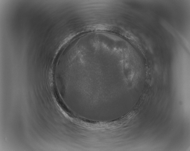 X0000058100012200509231012