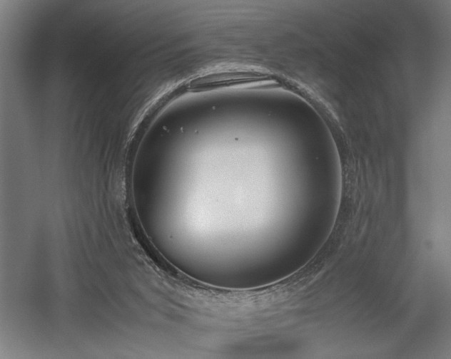 X0000058100015200509231012