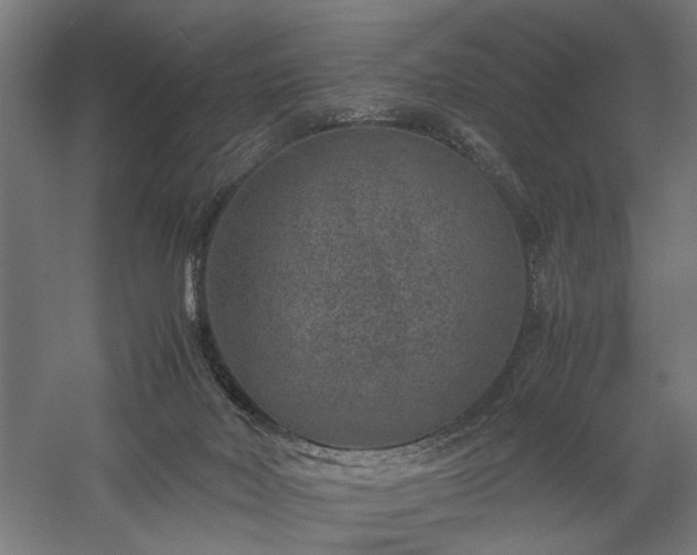 X0000058100026200509231011