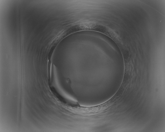 X0000058100027200509231011