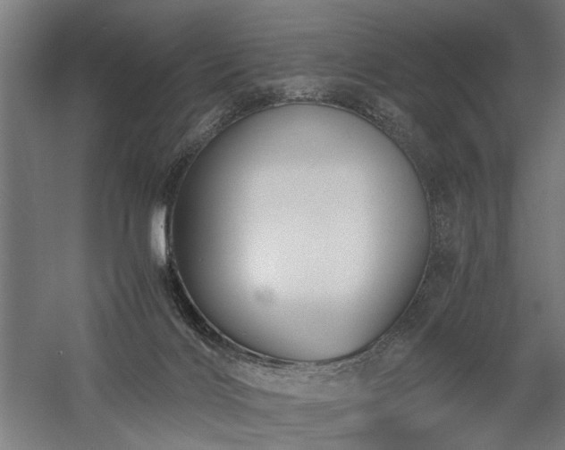 X0000058100028200509231011
